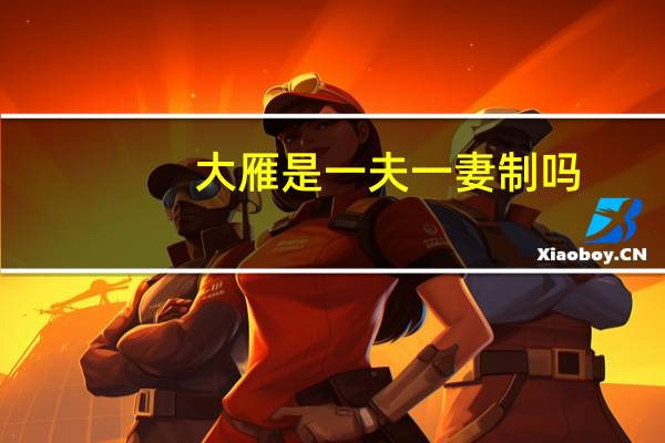 大雁是一夫一妻制吗