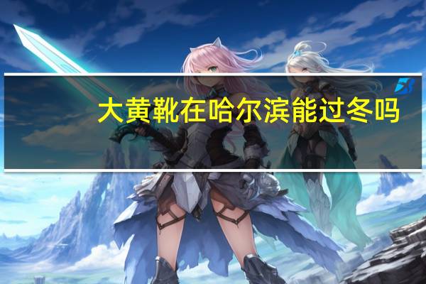 大黄靴在哈尔滨能过冬吗