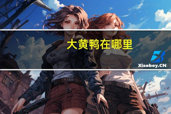 大黄鸭在哪里