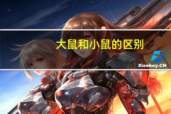 大鼠和小鼠的区别
