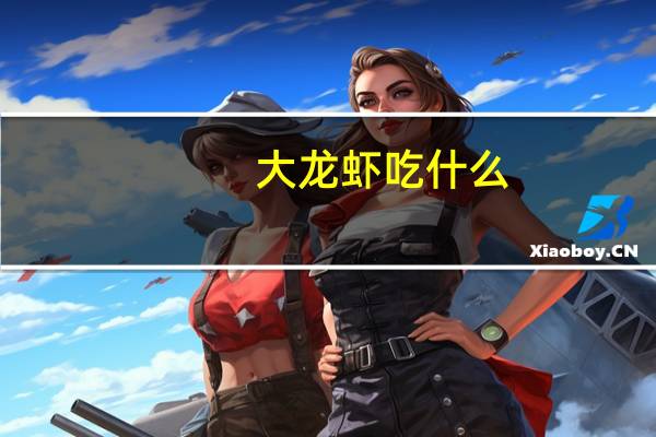 大龙虾吃什么