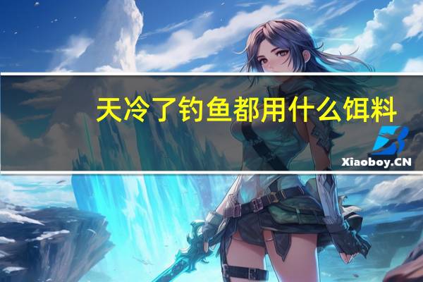 天冷了钓鱼都用什么饵料