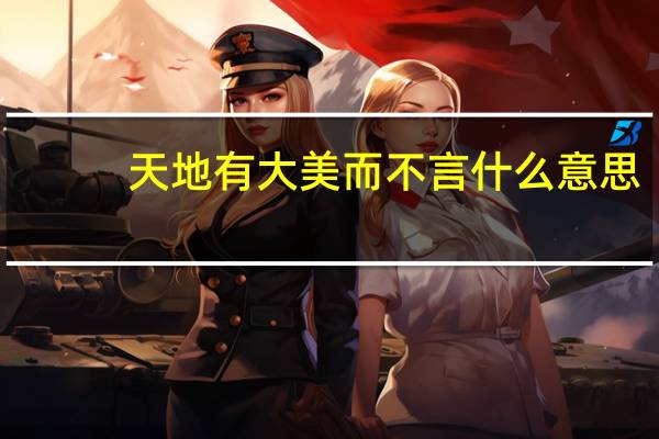 天地有大美而不言什么意思