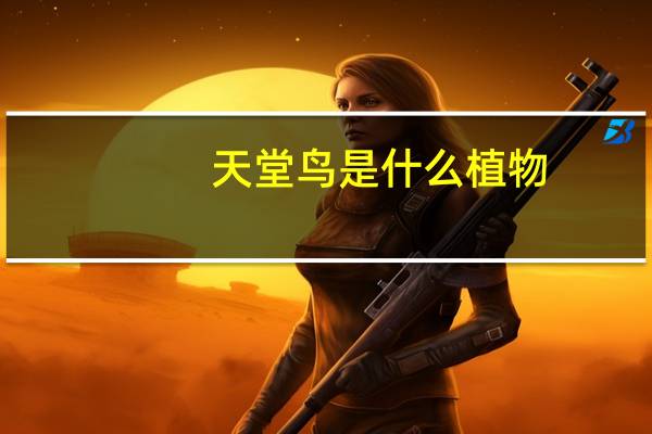 天堂鸟是什么植物