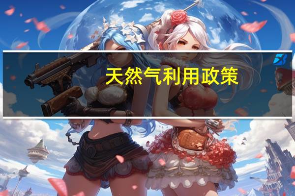 天然气利用政策
