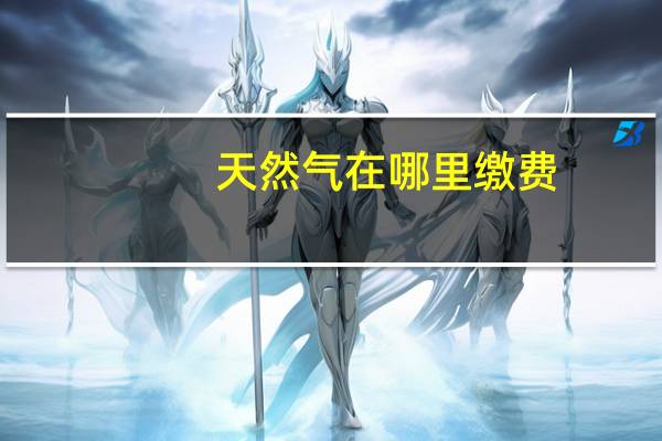 天然气在哪里缴费