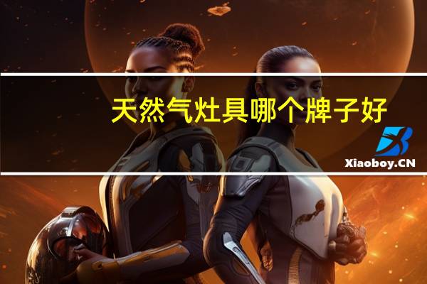 天然气灶具哪个牌子好?