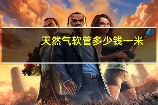 天然气软管多少钱一米