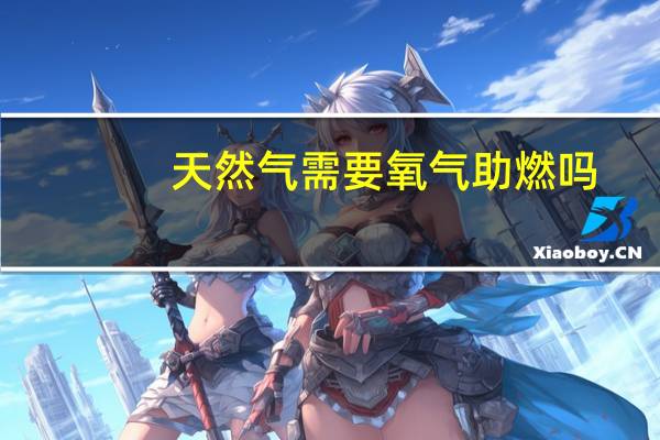 天然气需要氧气助燃吗