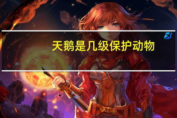 天鹅是几级保护动物