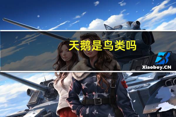 天鹅是鸟类吗