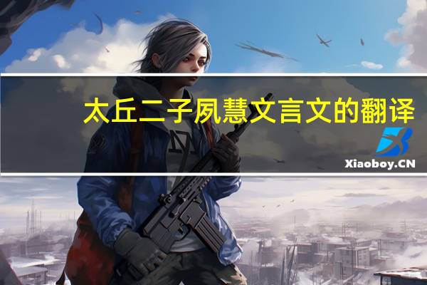 太丘二子夙慧文言文的翻译