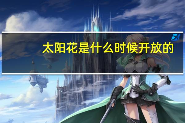 太阳花是什么时候开放的