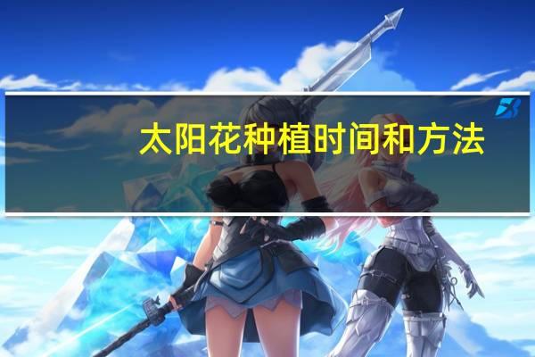 太阳花种植时间和方法