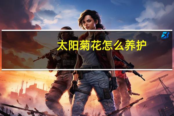 太阳菊花怎么养护