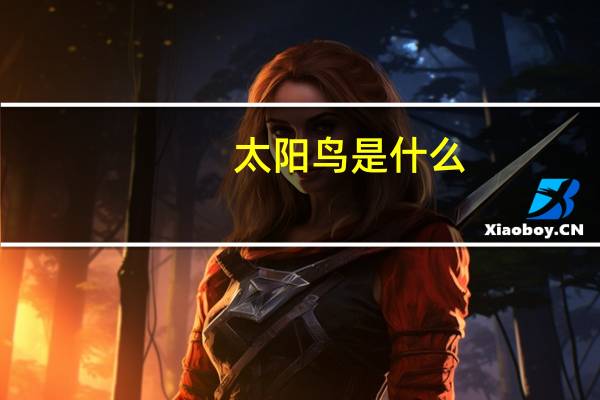 太阳鸟是什么