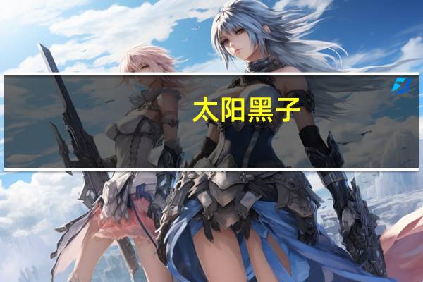 太阳黑子，耀斑，太阳风，日珥分别在太阳的哪个层