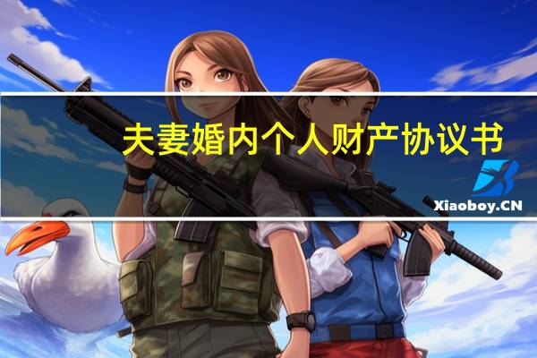 夫妻婚内个人财产协议书