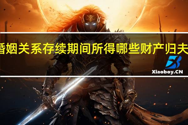 夫妻婚姻关系存续期间所得哪些财产归夫妻共同所有