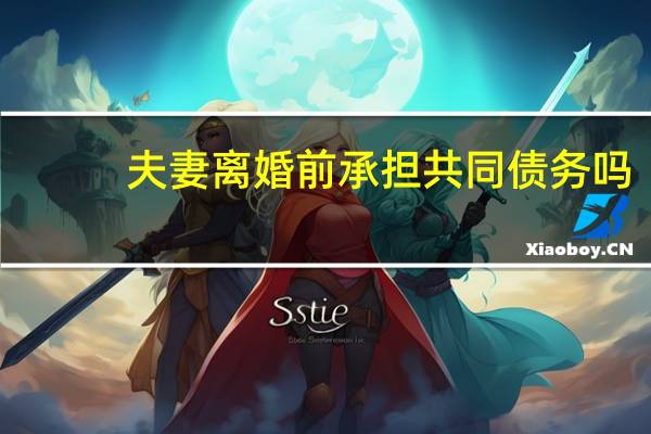 夫妻离婚前承担共同债务吗