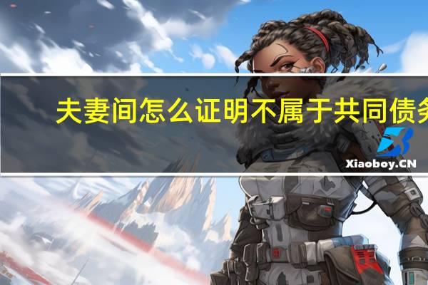 夫妻间怎么证明不属于共同债务