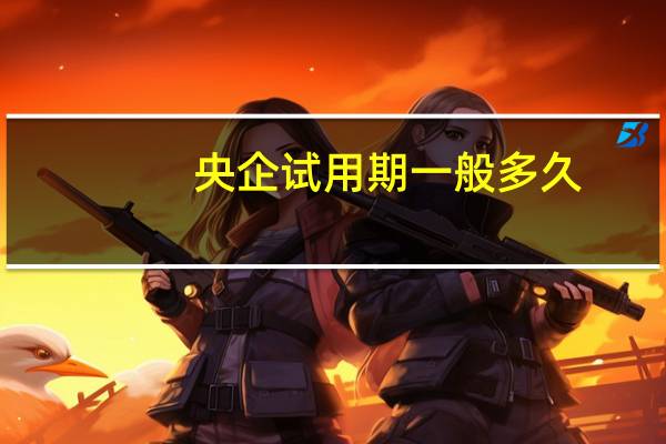 央企试用期一般多久