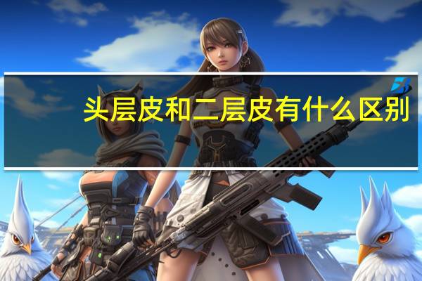 头层皮和二层皮有什么区别
