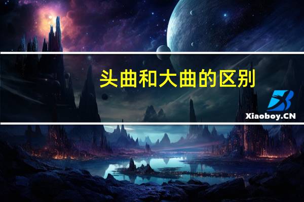 头曲和大曲的区别