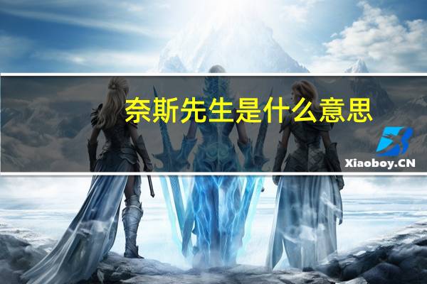 奈斯先生是什么意思