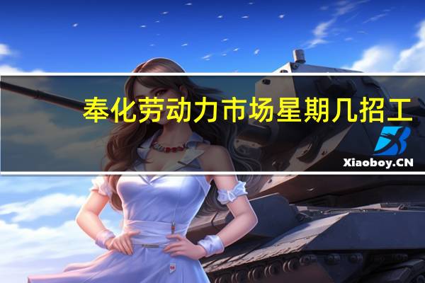 奉化劳动力市场星期几招工