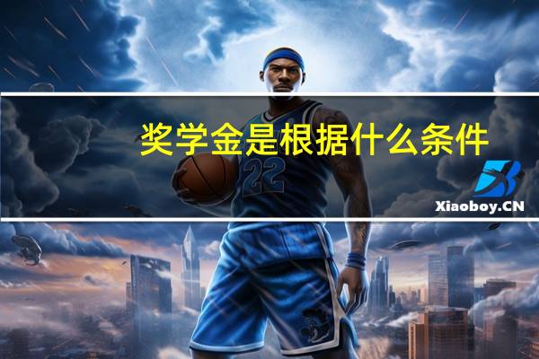 奖学金是根据什么条件