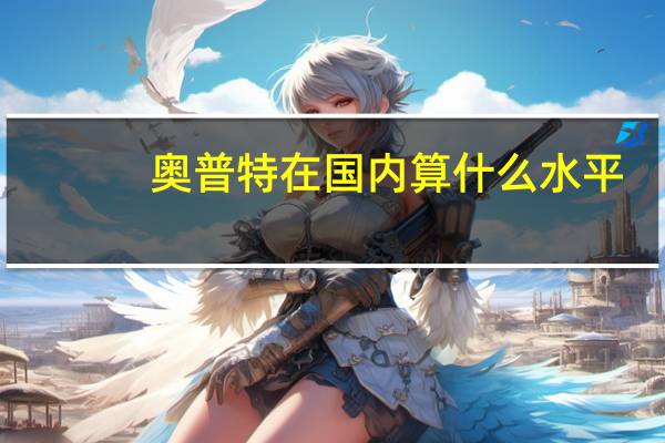 奥普特在国内算什么水平