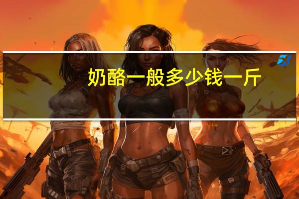 奶酪一般多少钱一斤