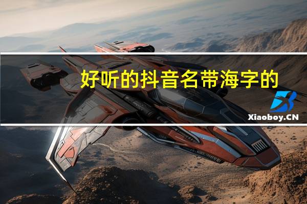 好听的抖音名带海字的