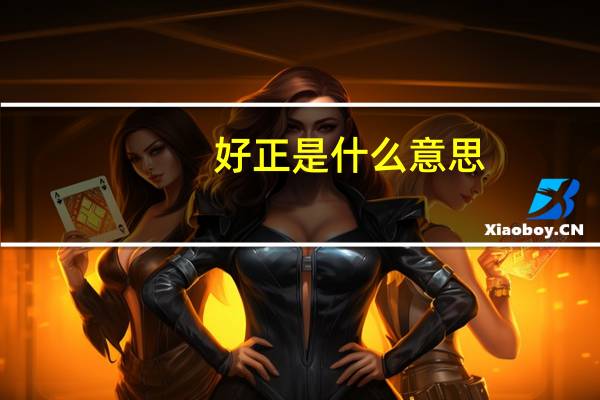 好正是什么意思