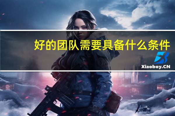 好的团队需要具备什么条件
