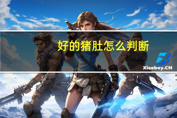 好的猪肚怎么判断