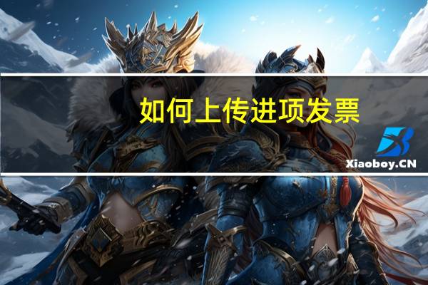 如何上传进项发票