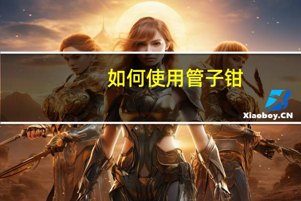 如何使用管子钳