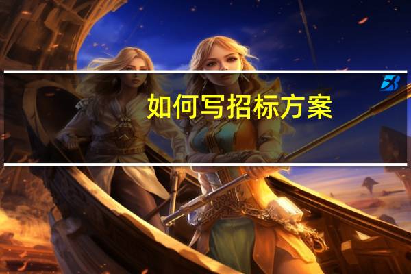 如何写招标方案