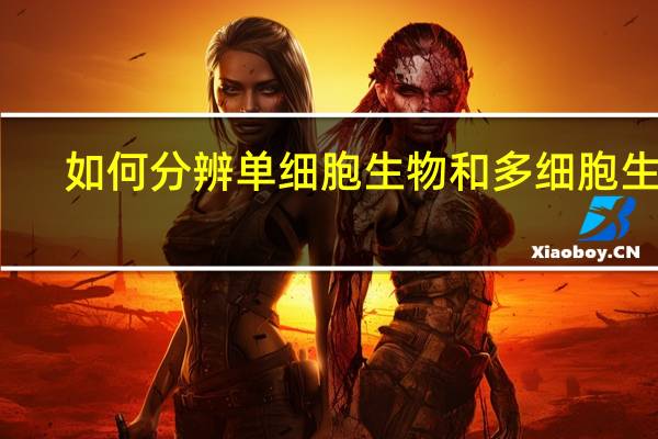 如何分辨单细胞生物和多细胞生物
