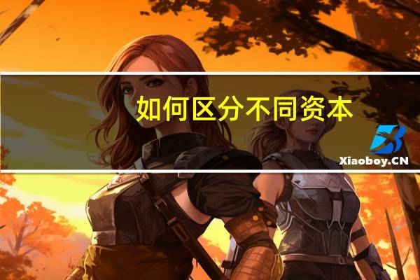 如何区分不同资本