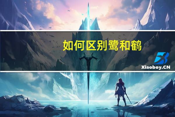 如何区别鹭和鹤