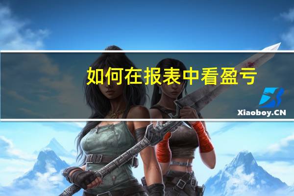 如何在报表中看盈亏