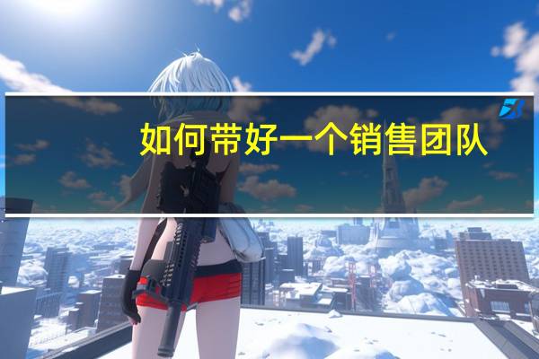 如何带好一个销售团队