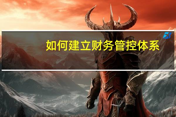 如何建立财务管控体系