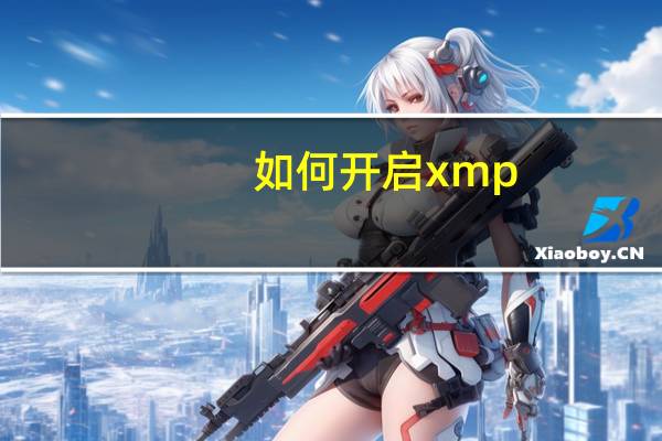 如何开启xmp