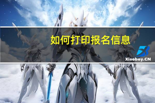 如何打印报名信息