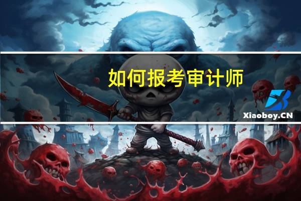 如何报考审计师