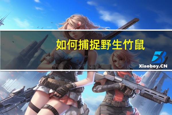 如何捕捉野生竹鼠